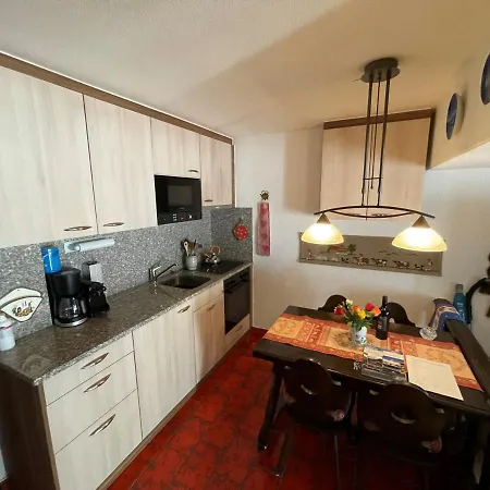 豪斯绿洲酒店 采尔马特