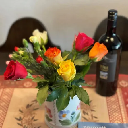 豪斯绿洲酒店 *