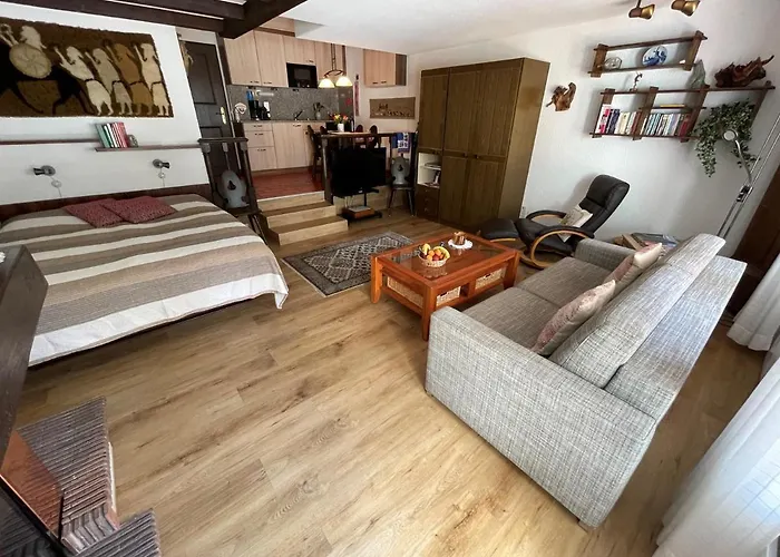 Haus Oasis زيرمات